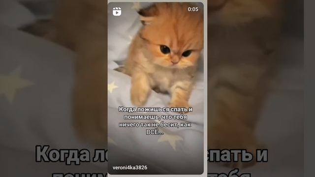 бесит