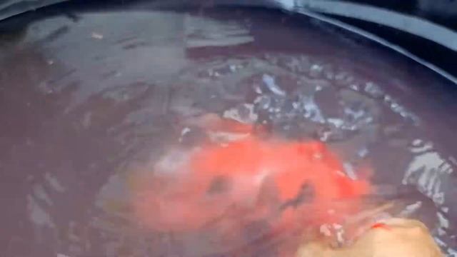 Membersihkan mainan hewan darat gajah, badak, beruang, panda, serigala, rusa, unta, lobster, hiu