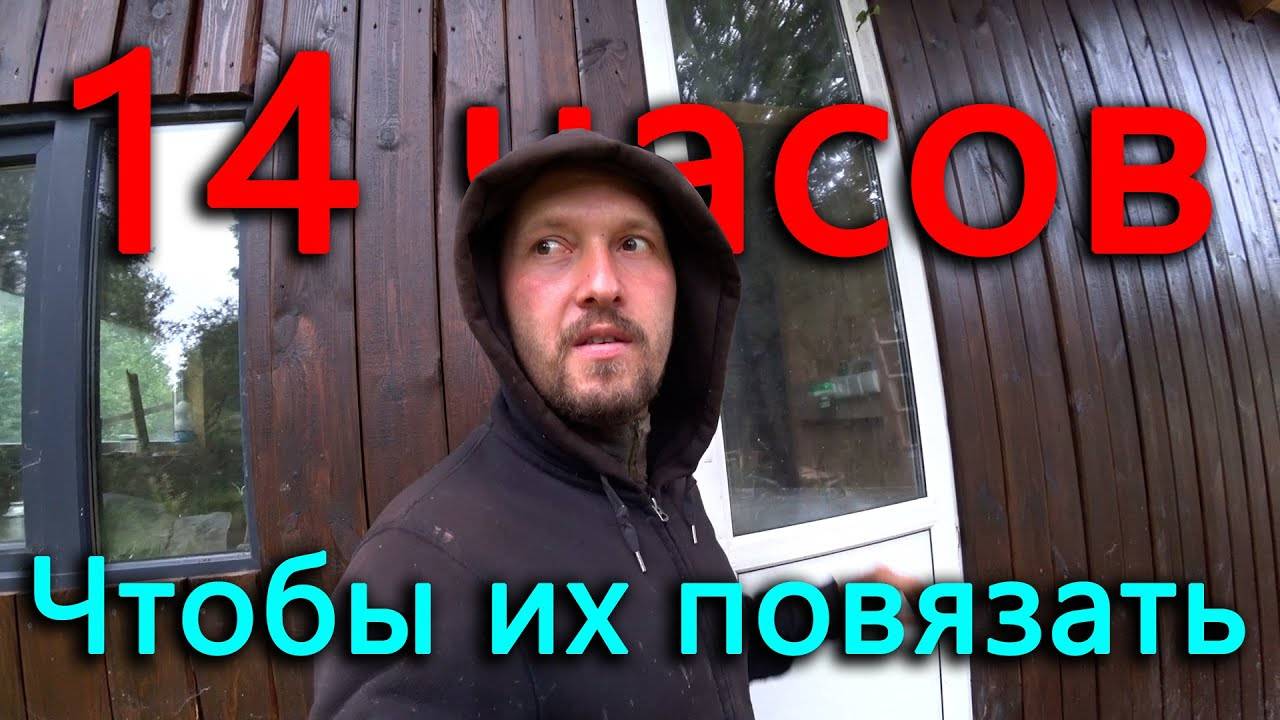 Они пытались все заполонить, но были подвязаны