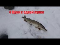 ОФИГЕТЬ!!!! Сколько Щуки с одной лунки! Часть 1.