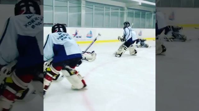 Стартовая скорость вратарей на льду