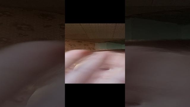 1000012131.mp4