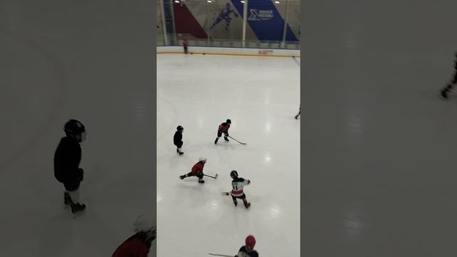 хоккей 🏒 для взрослых