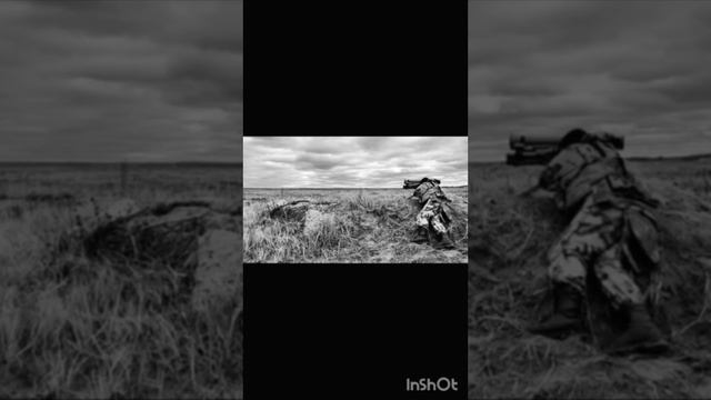 Наши воины