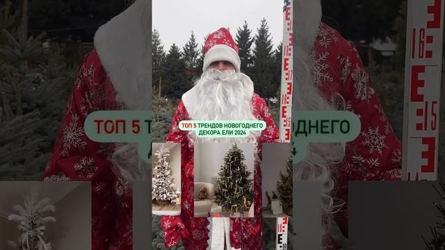 Топ 5 трендов новогоднего декора ели 2024.
Как бы вы украсили?
За елью и пихтой пишите нам
