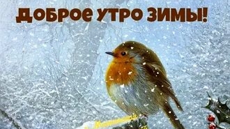 Чудесного зимнего утра!