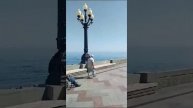 НАБЕРЕЖНАЯ ЯЛТЫ😍