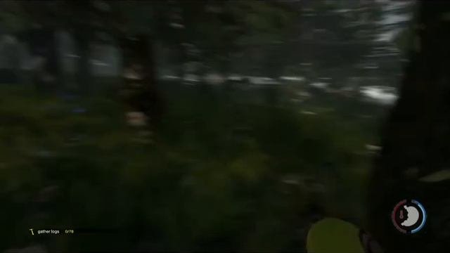 The Forest: Stream #1