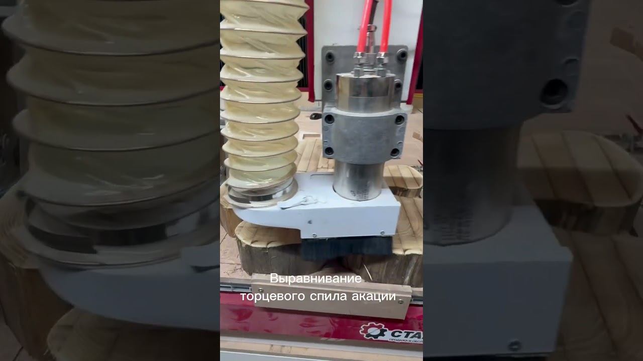 Выравнивание торцевого спила акации #столярка #diy #слэб #woodworking