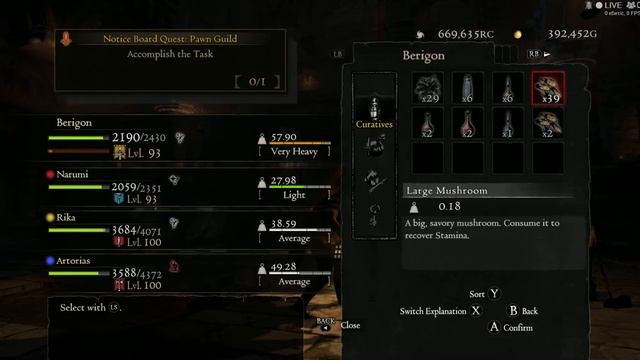 Dragon's Dogma: Dark Arisen - Dark Bishop(HARDCORE MODE)