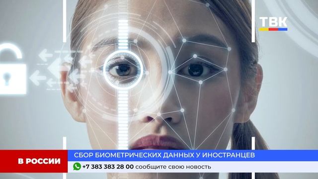 Программа "Дайджест" 04-12-24