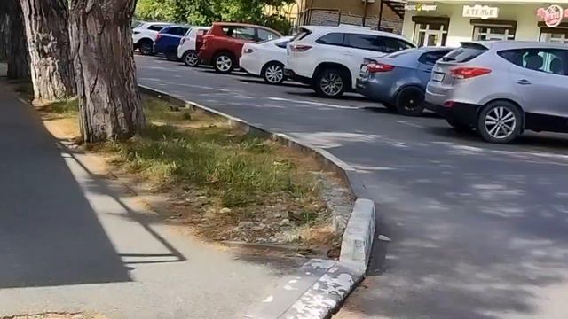 Прогулка по Геленджику: от микрорайона Южный до пляжа