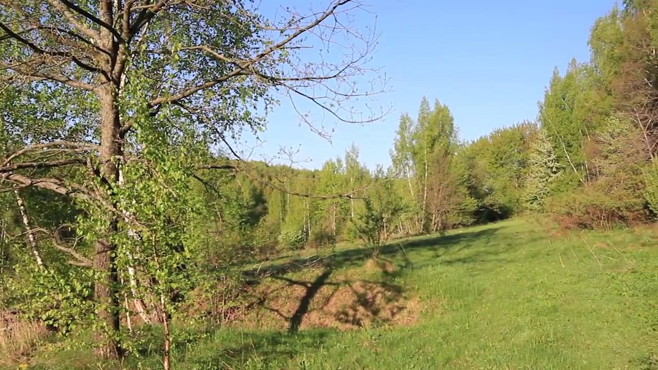 Утро