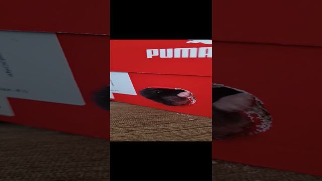 1000000248.mp4