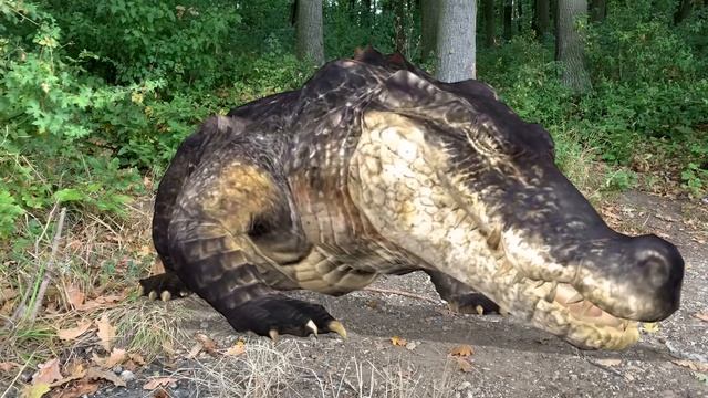 Krokodil Napao Ariju! Neviđen ishod!