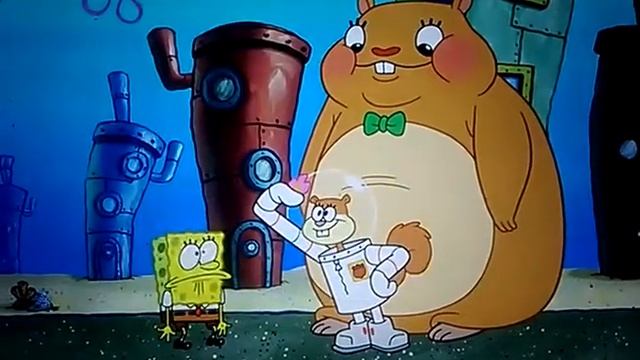 SpongeBob loves Cindy and Libby