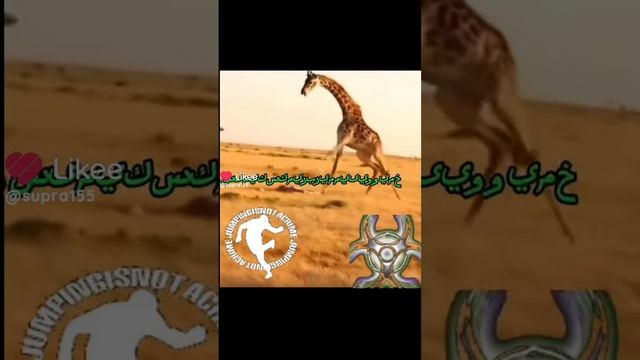 1000000619.mp4
