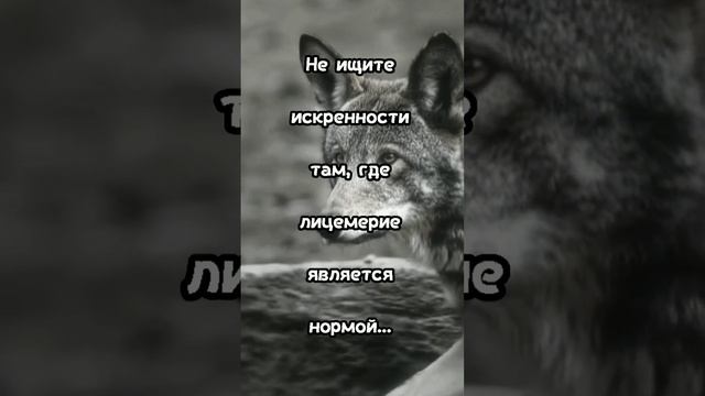 https://youtube.com/@yyuh-j9y?si=BdqrI1tqQKXZ8N67