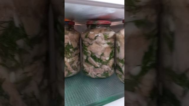 Даже на работе собираем 🍄