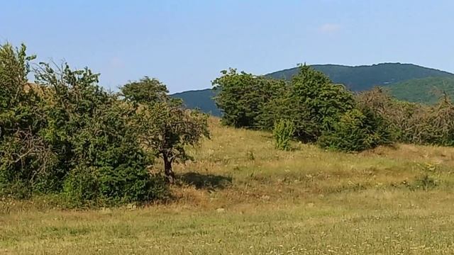 1000001542.mp4
