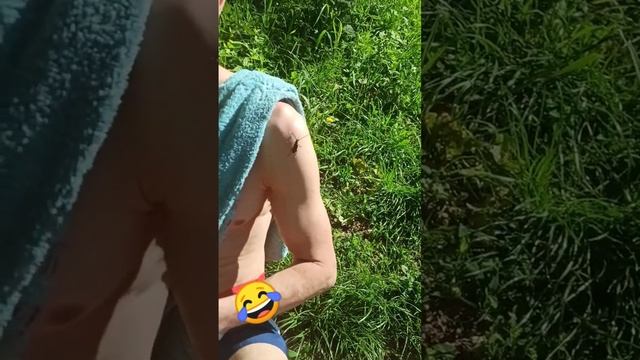 жук усач и жук собака 🐕