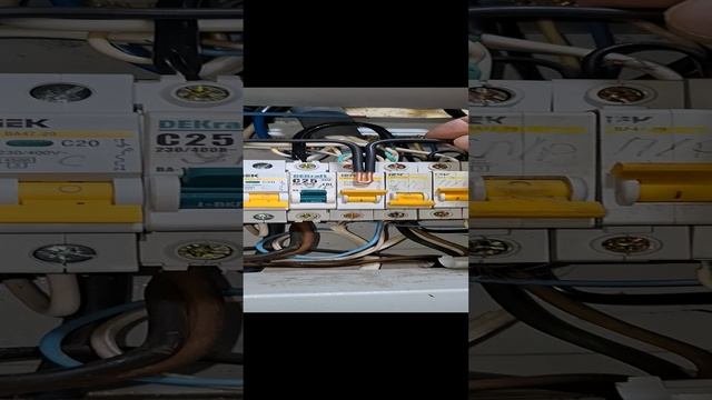 1000008164.mp4 (Собака смотрит на вариант электроснабжения дома А-фрейм)