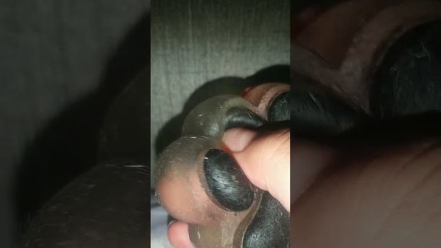 scene_output.mp4