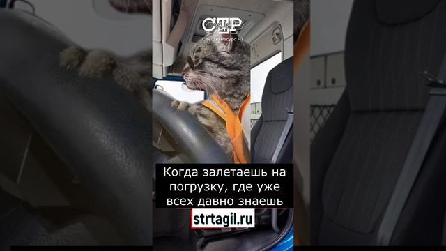 Залетаешь на погрузку когда всех знаешь