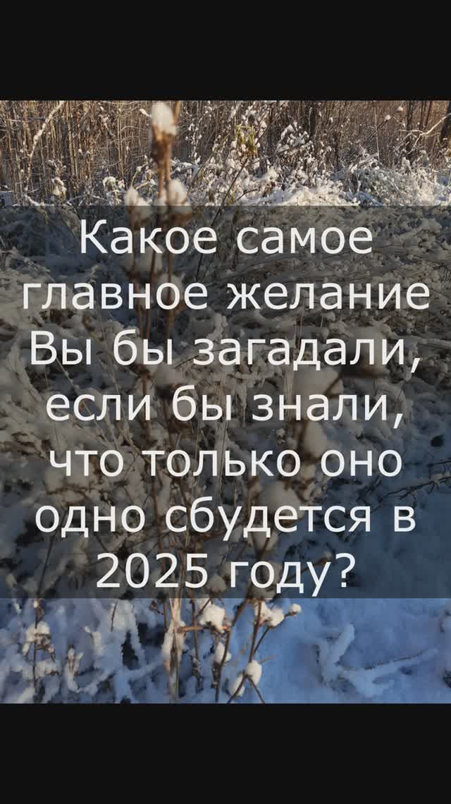 Первый снег