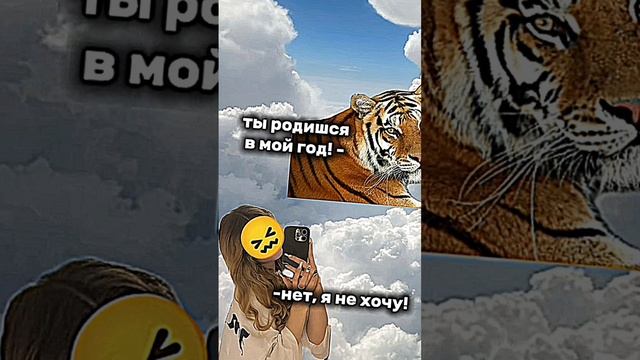 1000060853.mp4