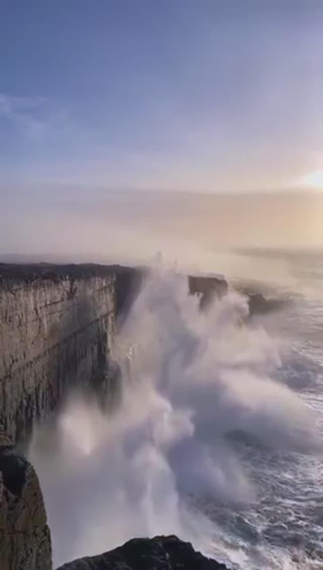 делами закона