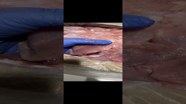 Медальоны индейки охлажденные. Связь - https://t.me/MyasoEmEd