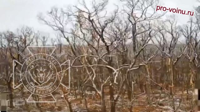 Дрон Северян помешал боевикам ВСУ уединиться в блиндаже.
Двое украинских любителей европейских ценно