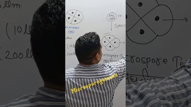 #pollengrain #pollen #meaning_of_microsporogenesis #लघुबीजाणुजनन  #jaishreeram #jaishreeram