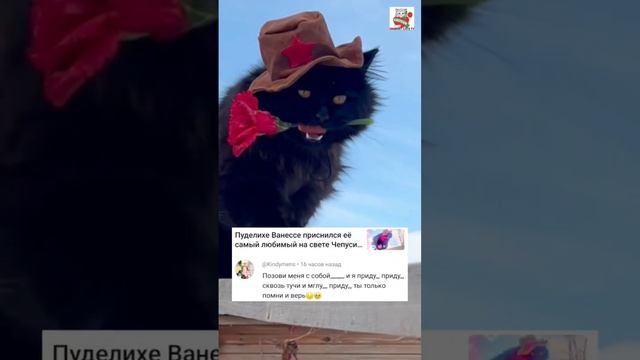 Это могло быть Любовью Неземной Небывалой 👼🌈💘🌹🐈⬛