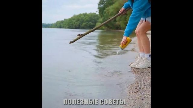 Лайфхаки для выживания в лесу