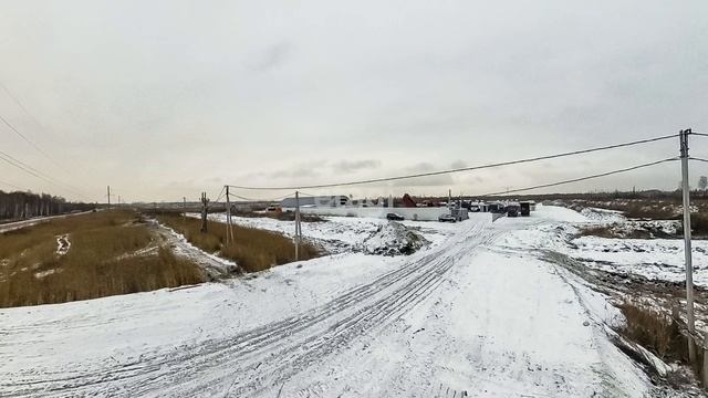 3967156