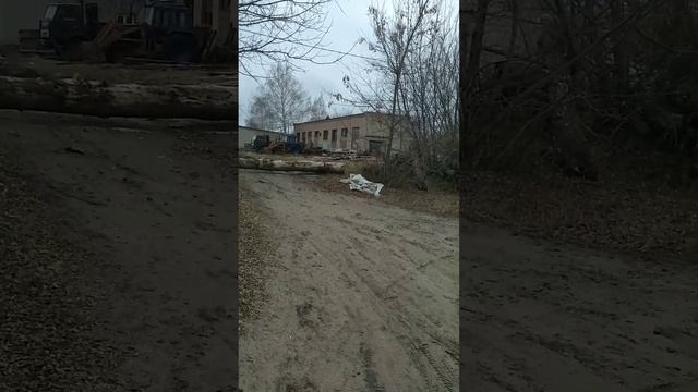 Бывшая лесопилка 🌲🪓 Репьёвка 🇷🇺