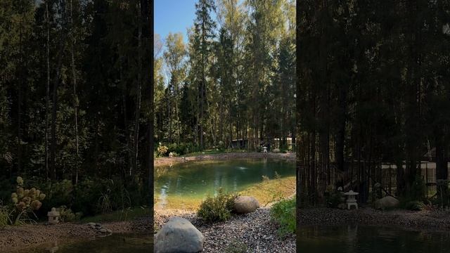 Экоотель Романов лес - осенняя песня твоей души.