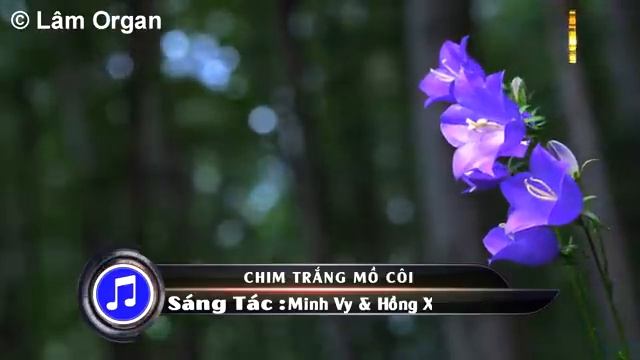 Chim Trắng Mồ Côi Karaoke Song Ca Karaoke