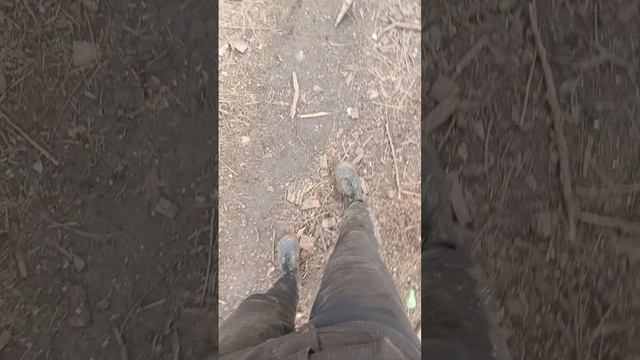 Самая ценная часть в дровах