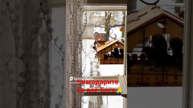 Слава Богу за всё 🙏