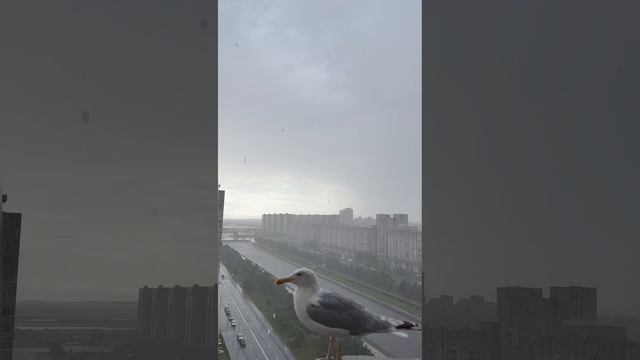 Когда погода меняет планы