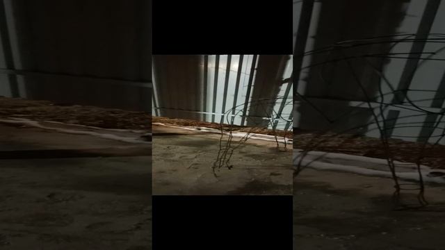 1000053729.mp4