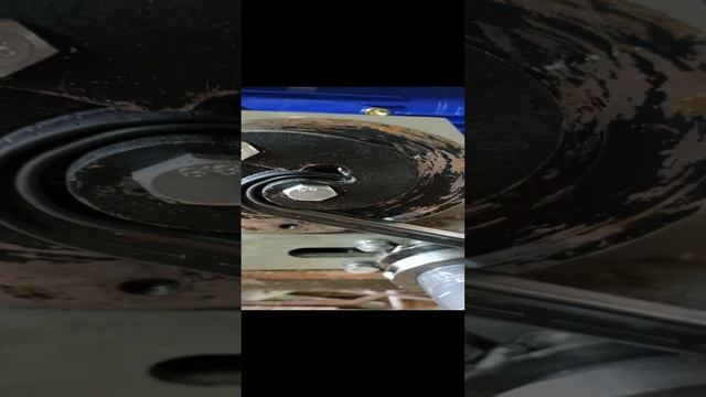 1000048241.mp4