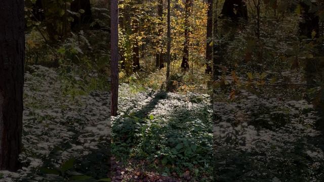 Экоотель Романов лес - тепло вдали от дома.