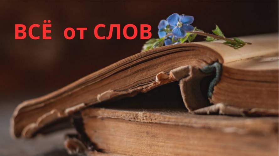 ПРОСТЫМИ СЛОВАМИ. От Слов Свих Оправдаешься И От Слов Своих Осудишься!