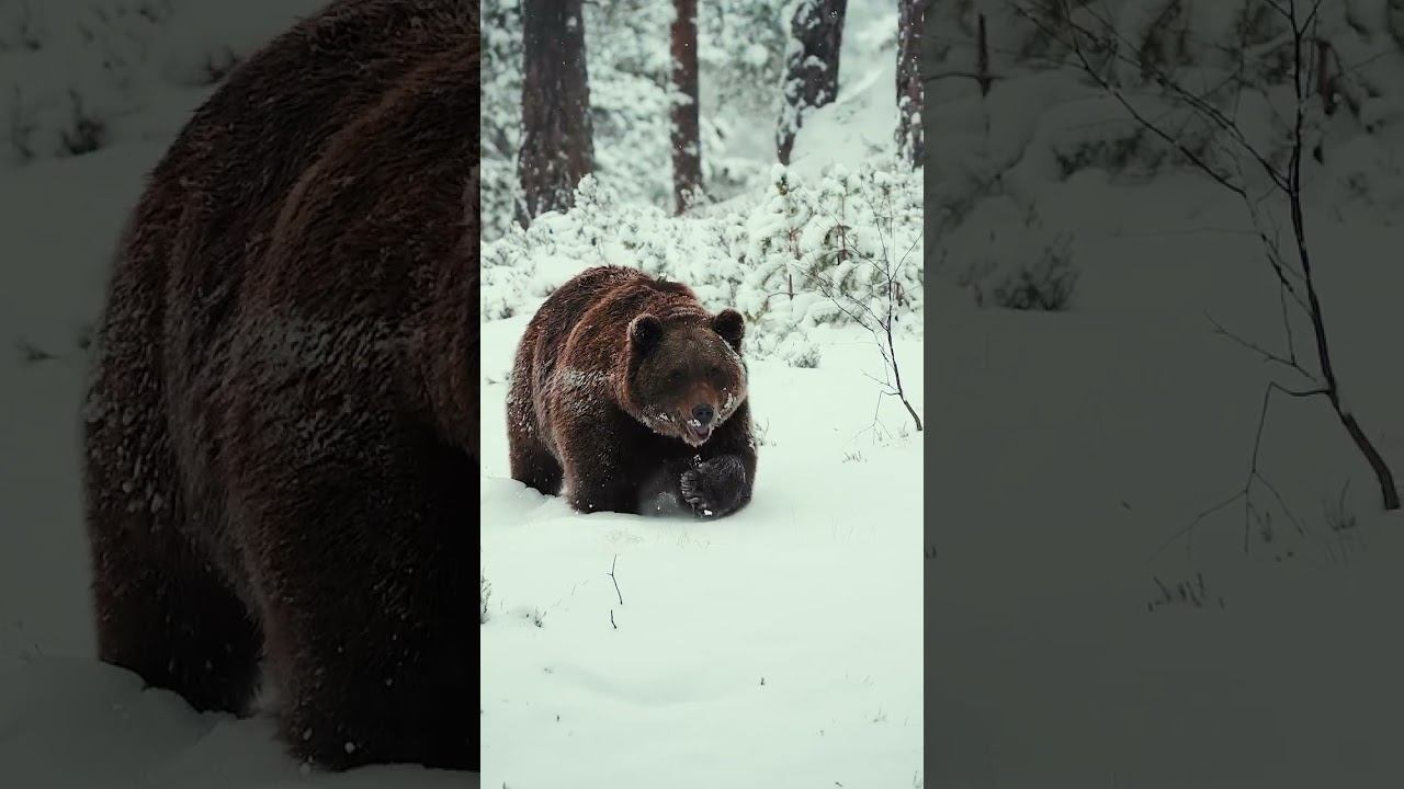 1 октября 2024 г.
