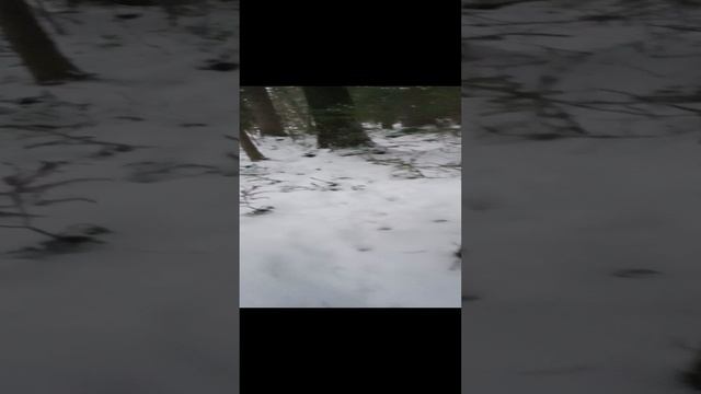 1000015879.mp4