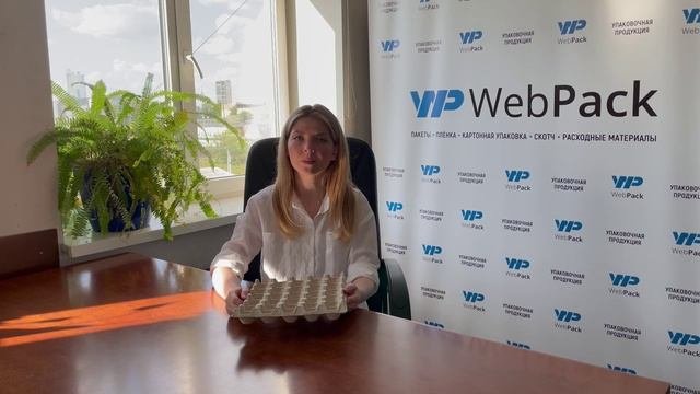 710100 Упаковка для 30 яиц, 310*310*48мм., серый
